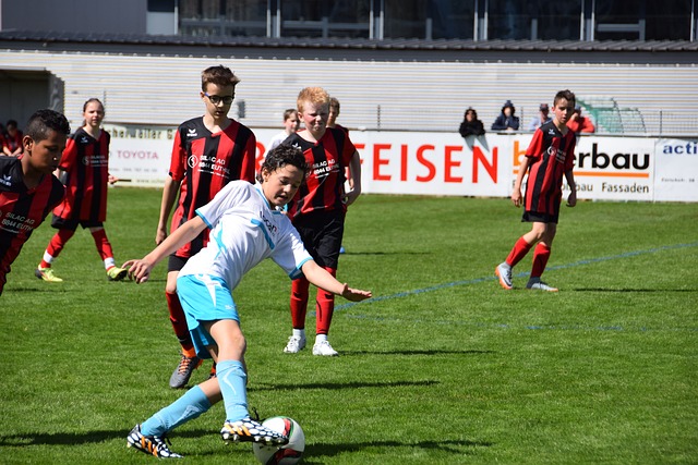 洋蓝图描绘 洋蓝图描绘