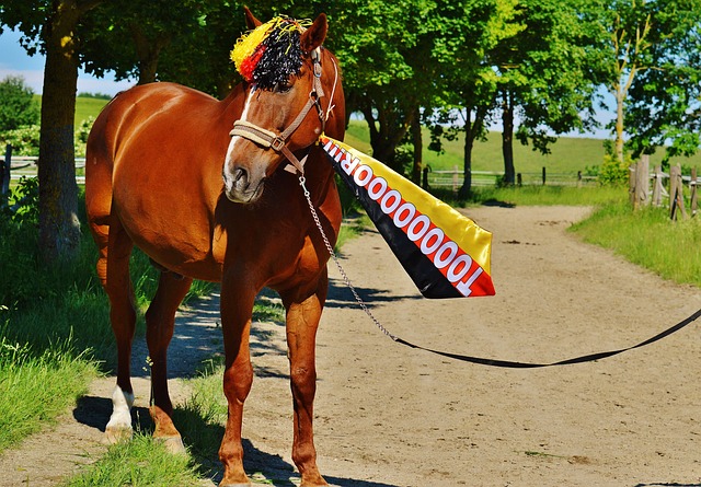 一度陷入下 一度陷入下