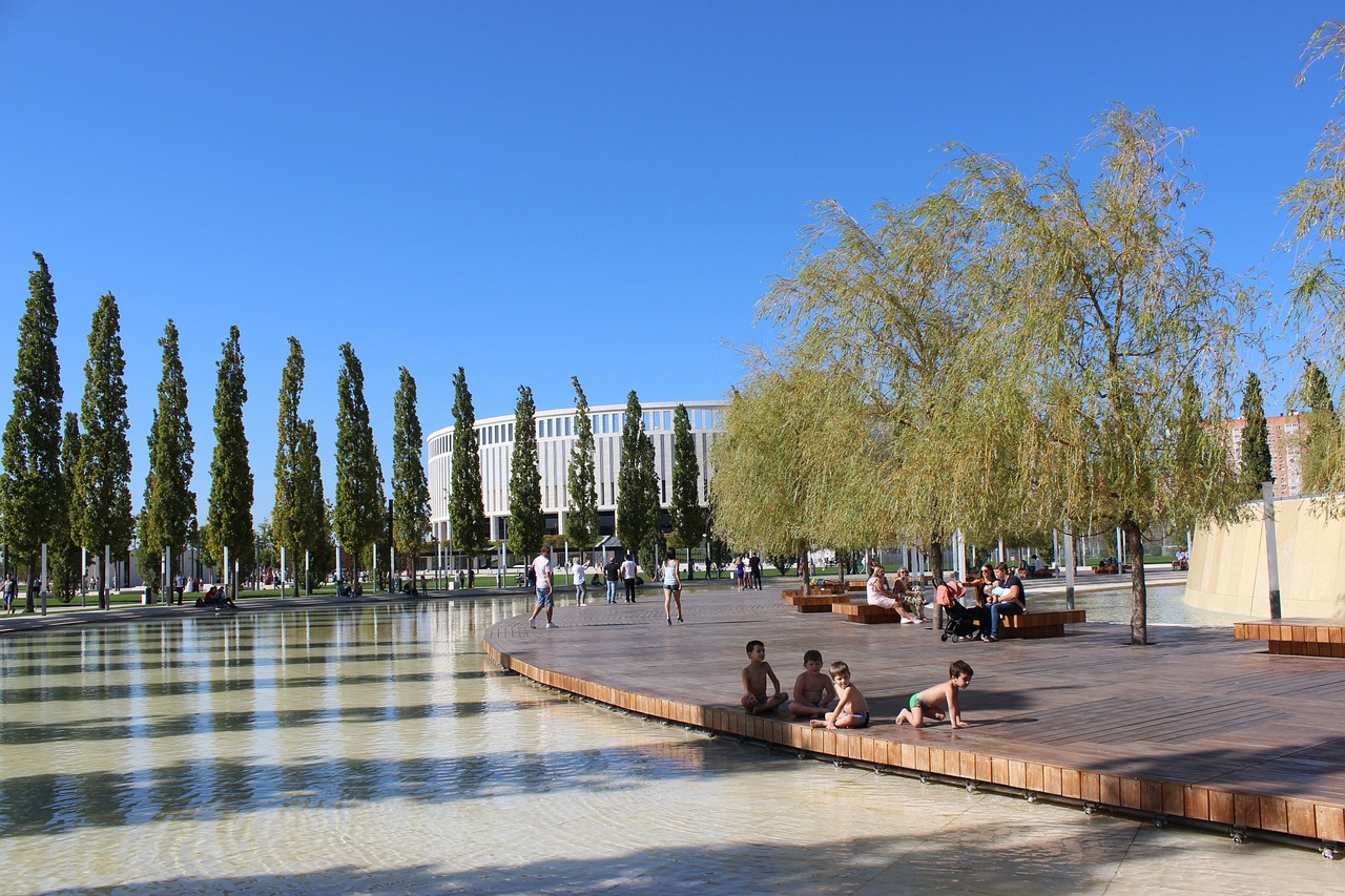 提供了一场 提供了一场