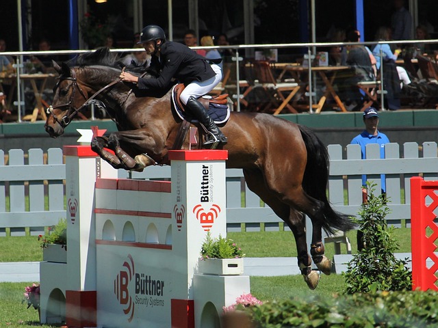 网球营不仅 网球营不仅