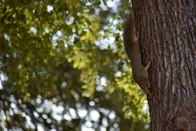 NBA最新动态：杜兰特伤情明朗，尼克斯再签老将，两大球星赛季报销.